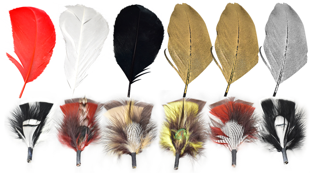 Assorted Feathers (12 Pack)